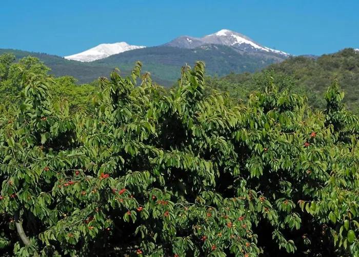 In Ayguatebia-talau With Garden & Bbq Talau